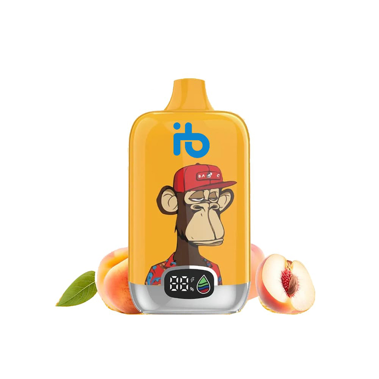 IBVAPE Erfahrungsbericht, shisha e Auswahl und Trends 2025 – praktische Tipps und Kaufberatung von IBVAPE