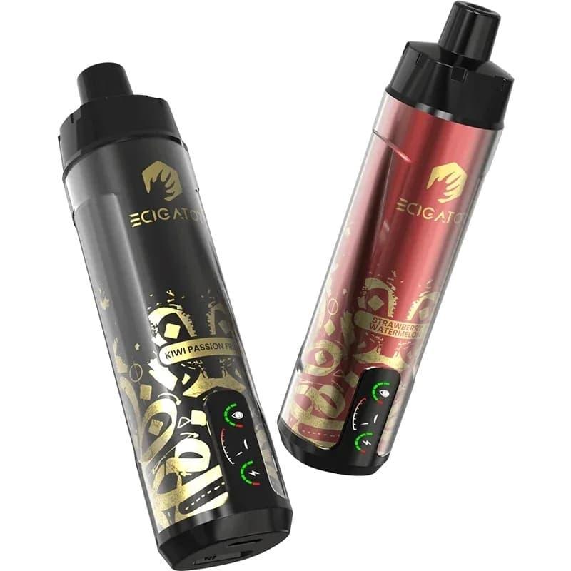 e-papierosy und vaporizer e zigarette im Vergleich – Was passt besser für Dampfer?