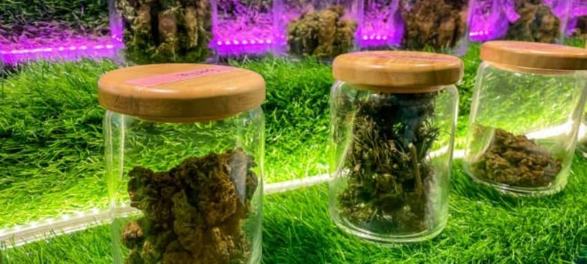 Spar-Tipps und Kaufberatung für nejlevnější e-cigareta sowie ausführlicher Erfahrungsbericht zur aspire zelos 3 e-zigarette