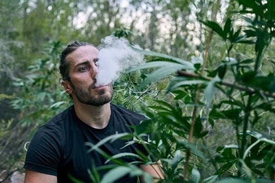 e-dym Erfahrungen und warum e-dym als beste Aromen Hersteller für e-Zigarette gilt